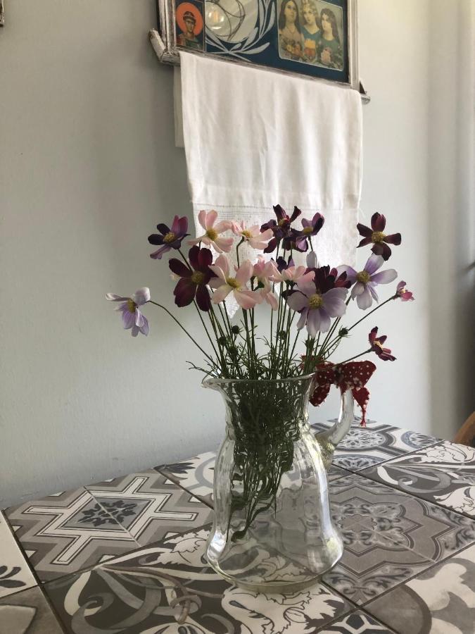 Anastasia'S House Kallirákhi 外观 照片